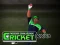 Гульня Cricket Fielder Challenge онлайн