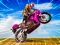 Гульня Crazy Wheelie Motorider онлайн
