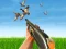 Гульня Bird Hunting онлайн