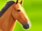 Гульня Horse Run 3D онлайн