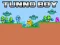 Гульня Tunno Boy онлайн