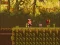 Гульня The Lost Forest онлайн