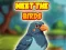 Гульня Meet The Birds онлайн