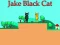 Гульня Jake Black Cat онлайн