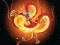 Гульня Chinese Dragons Coloring онлайн