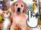 Гульня Pets Clicker онлайн