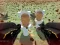 Гульня Shooting Survival Skibidi Toilet онлайн