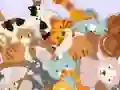 Гульня Find The Kitty онлайн