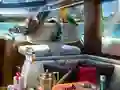 Гульня Caribbean Crime онлайн