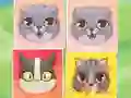 Гульня Kitten Match онлайн