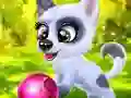 Гульня Happy Dog онлайн