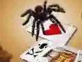 Гульня Jumping Spider онлайн
