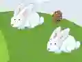 Гульня Crazy Eggs онлайн