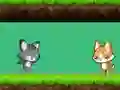 Гульня Cat vs Dog онлайн