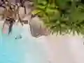 Гульня Seychelles Beach Jigsaw Puzzle онлайн