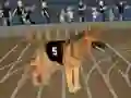 Гульня Crazy Dog Racing Fever онлайн