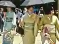 Гульня 100 Butterflies in Japan онлайн