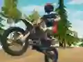 Гульня Dirt Bike Enduro Racing онлайн