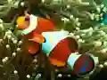 Гульня Underwater Hidden Numbers онлайн