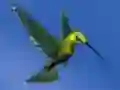 Гульня Hummingbird House Escape онлайн