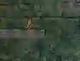Гульня Bunny Adventure онлайн