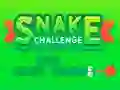 Гульня Snake Challenge онлайн