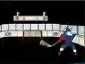 Гульня Capitaine Cage Hockey онлайн