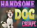 Гульня Handsome Dog Escape онлайн