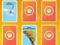 Гульня National Geographic Kids Matching онлайн