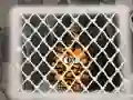 Гульня Tiger Escape 1 онлайн