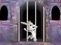 Гульня Victory Rabbit Escape онлайн