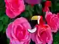 Гульня Precious Rose Escape онлайн