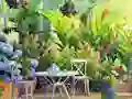 Гульня Find The Cute Pandas онлайн