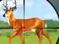 Гульня Wild Hunt Hunting Games 3D онлайн