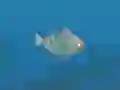 Гульня Fish Companions онлайн