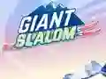 Гульня Giant Slalom онлайн