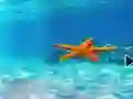 Гульня Escape From Underwater Starfish онлайн