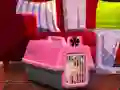 Гульня Escape The Small Pug онлайн