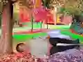 Гульня Rescue A Wounded Guy онлайн