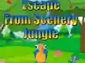Гульня Escape from Scenery Jungle онлайн