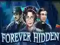 Гульня Forever Hidden онлайн