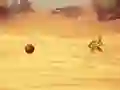 Гульня Monkey Shooting онлайн