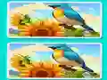 Гульня Spot the Difference The Garden онлайн