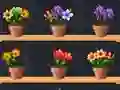 Гульня Good Flower Master онлайн