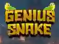 Гульня Genius Snake онлайн