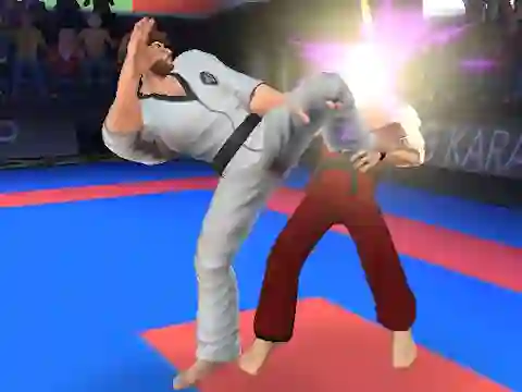 Гульня Karate Fighter онлайн