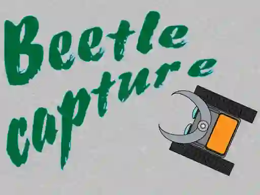 Гульня Beetle Capture онлайн