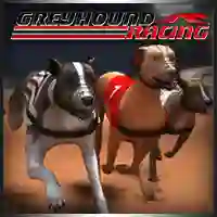 Гульня Greyhound Racing онлайн