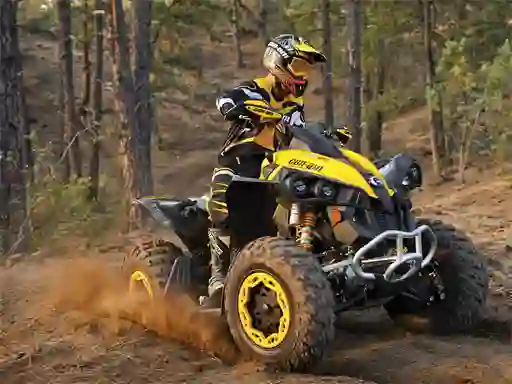 Гульня ATV Offroad Puzzle онлайн