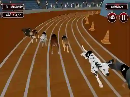 Гульня Crazyl Dog Racing Fever онлайн